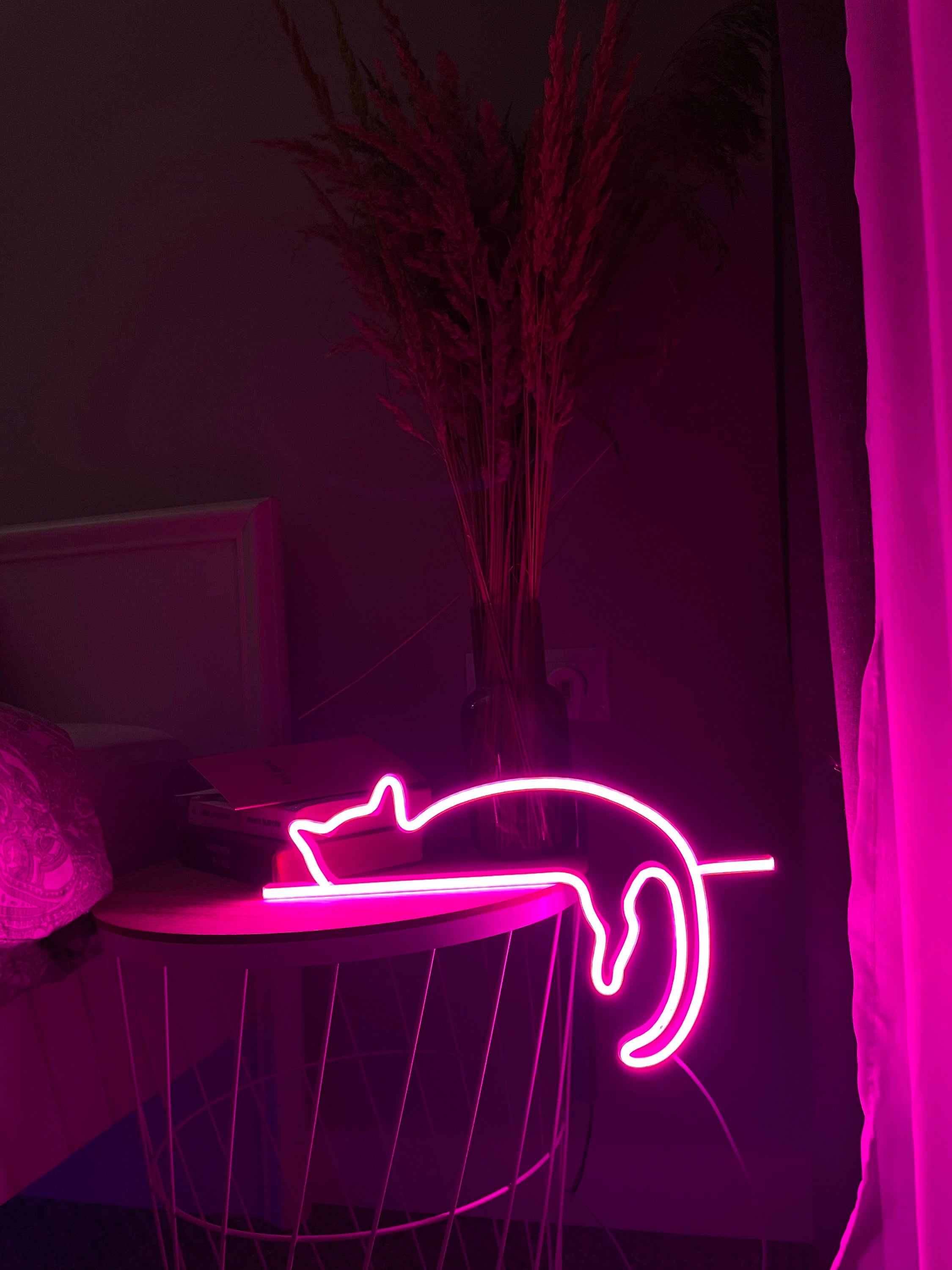 cat neon sign art decor Neon light wall art signs cute cat decor, gift LED Neon Lights, cat Wall custom neon decor Neon Custom Desk light