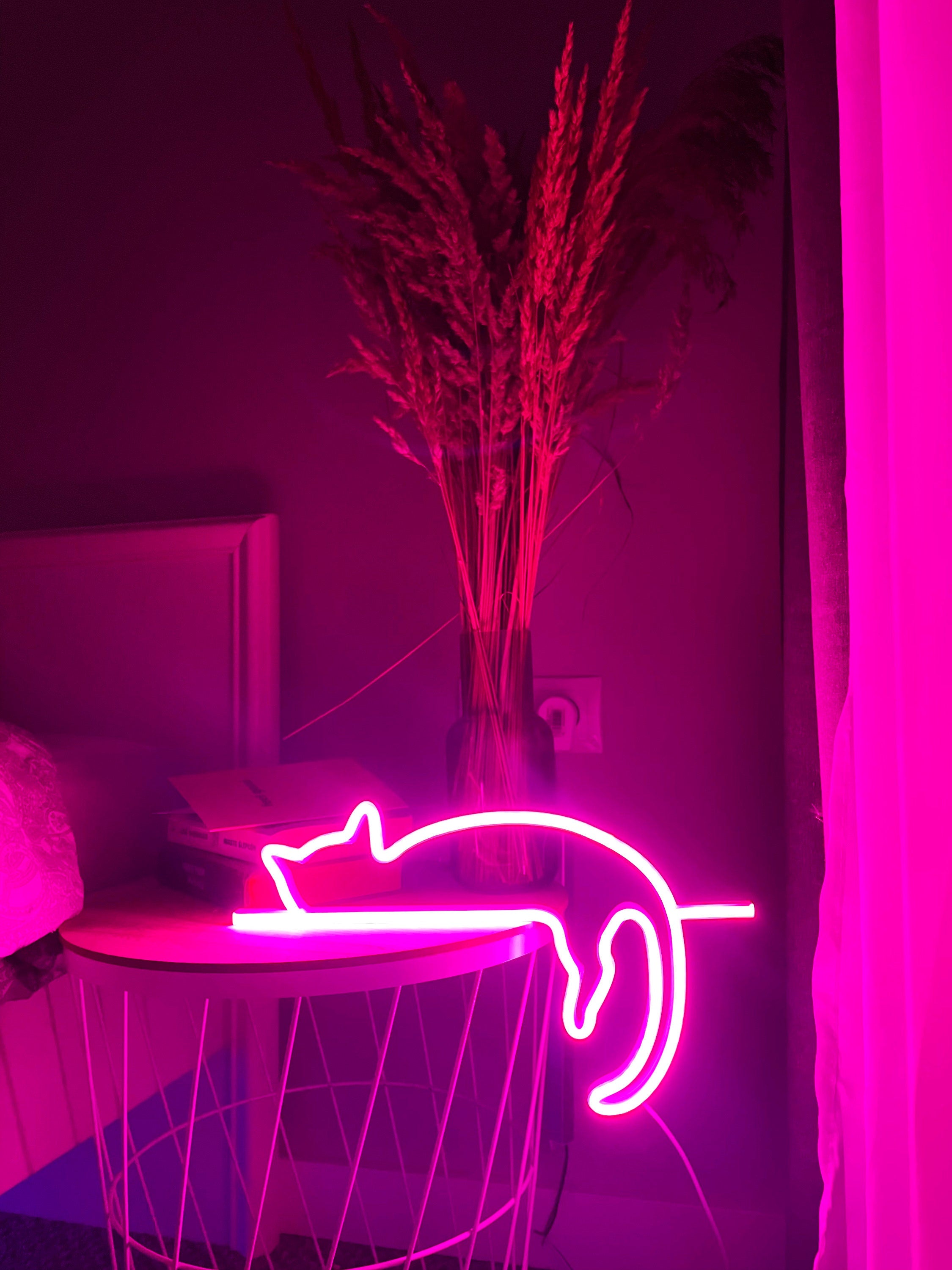 cat neon sign art decor Neon light wall art signs cute cat decor, gift LED Neon Lights, cat Wall custom neon decor Neon Custom Desk light
