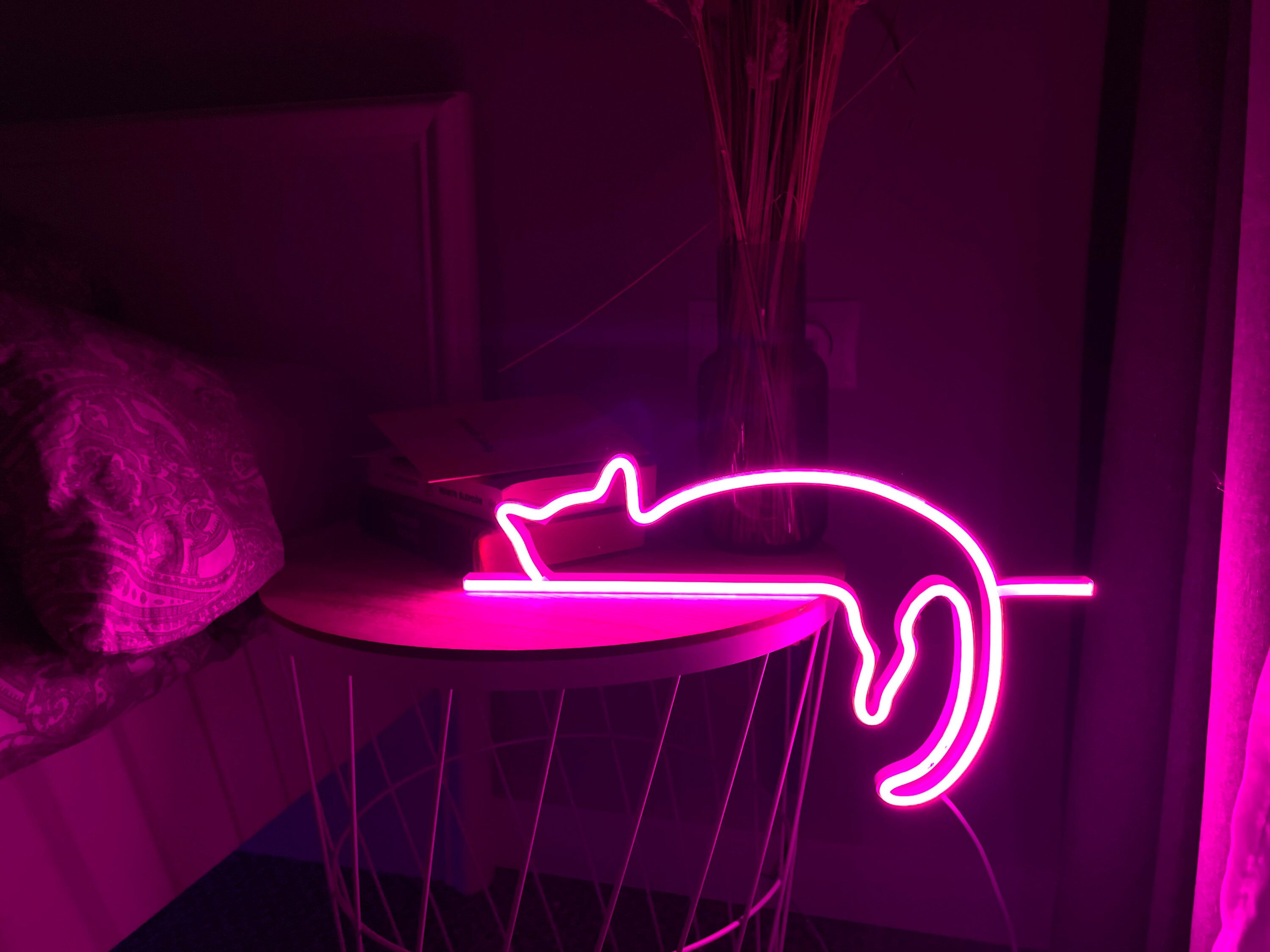 cat neon sign art decor Neon light wall art signs cute cat decor, gift LED Neon Lights, cat Wall custom neon decor Neon Custom Desk light