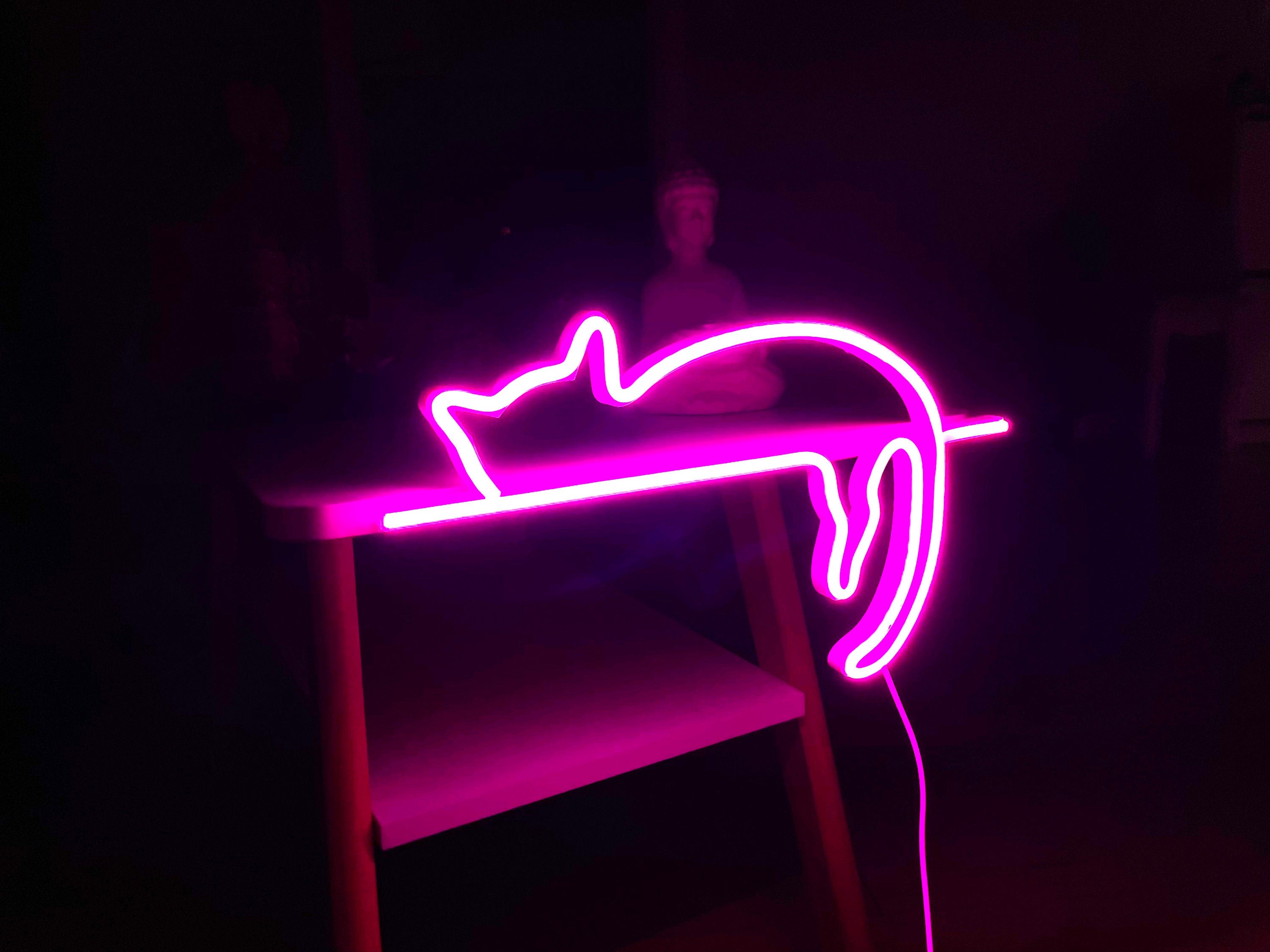 cat neon sign art decor Neon light wall art signs cute cat decor, gift LED Neon Lights, cat Wall custom neon decor Neon Custom Desk light
