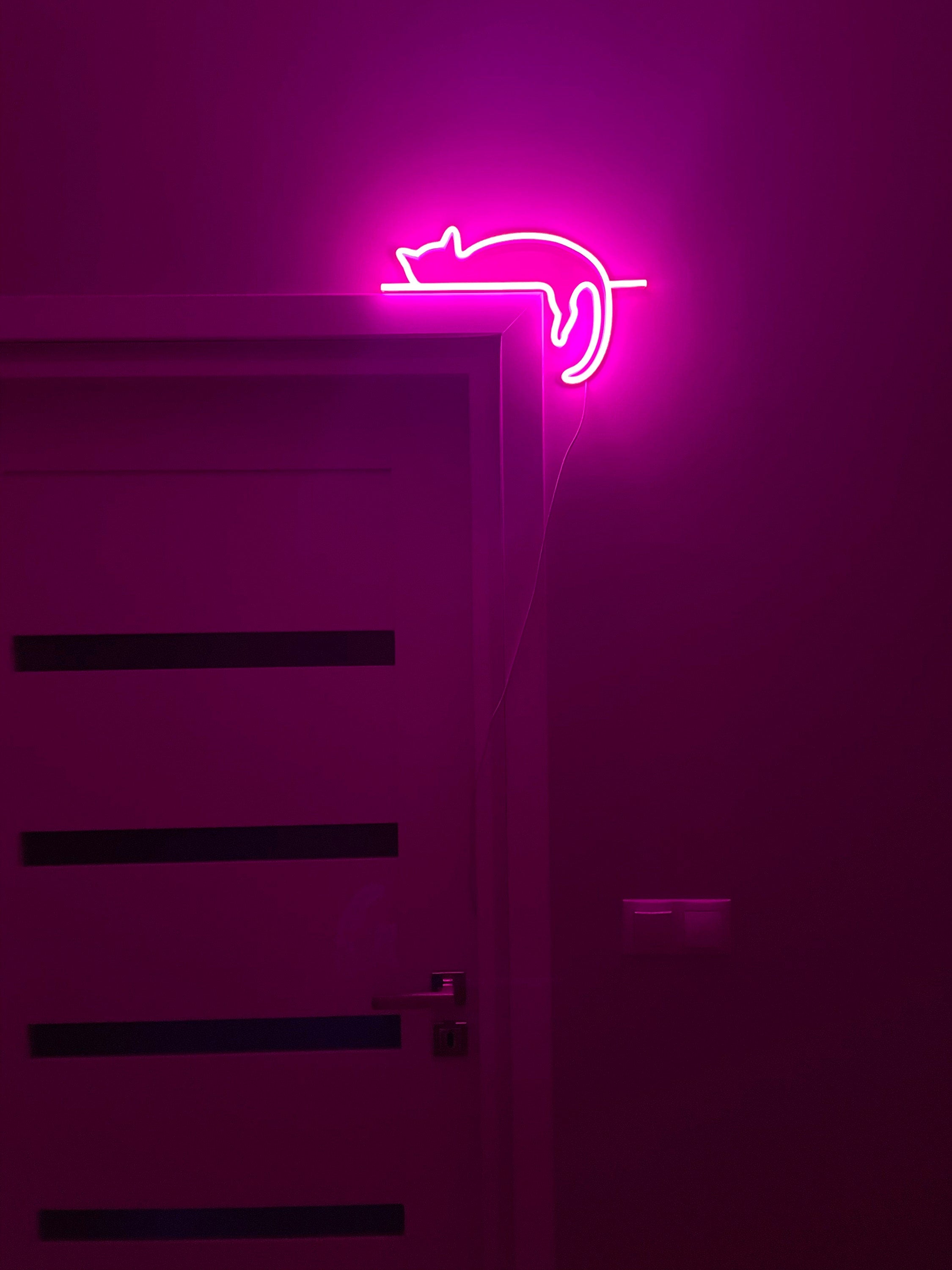 cat neon sign art decor Neon light wall art signs cute cat decor, gift LED Neon Lights, cat Wall custom neon decor Neon Custom Desk light