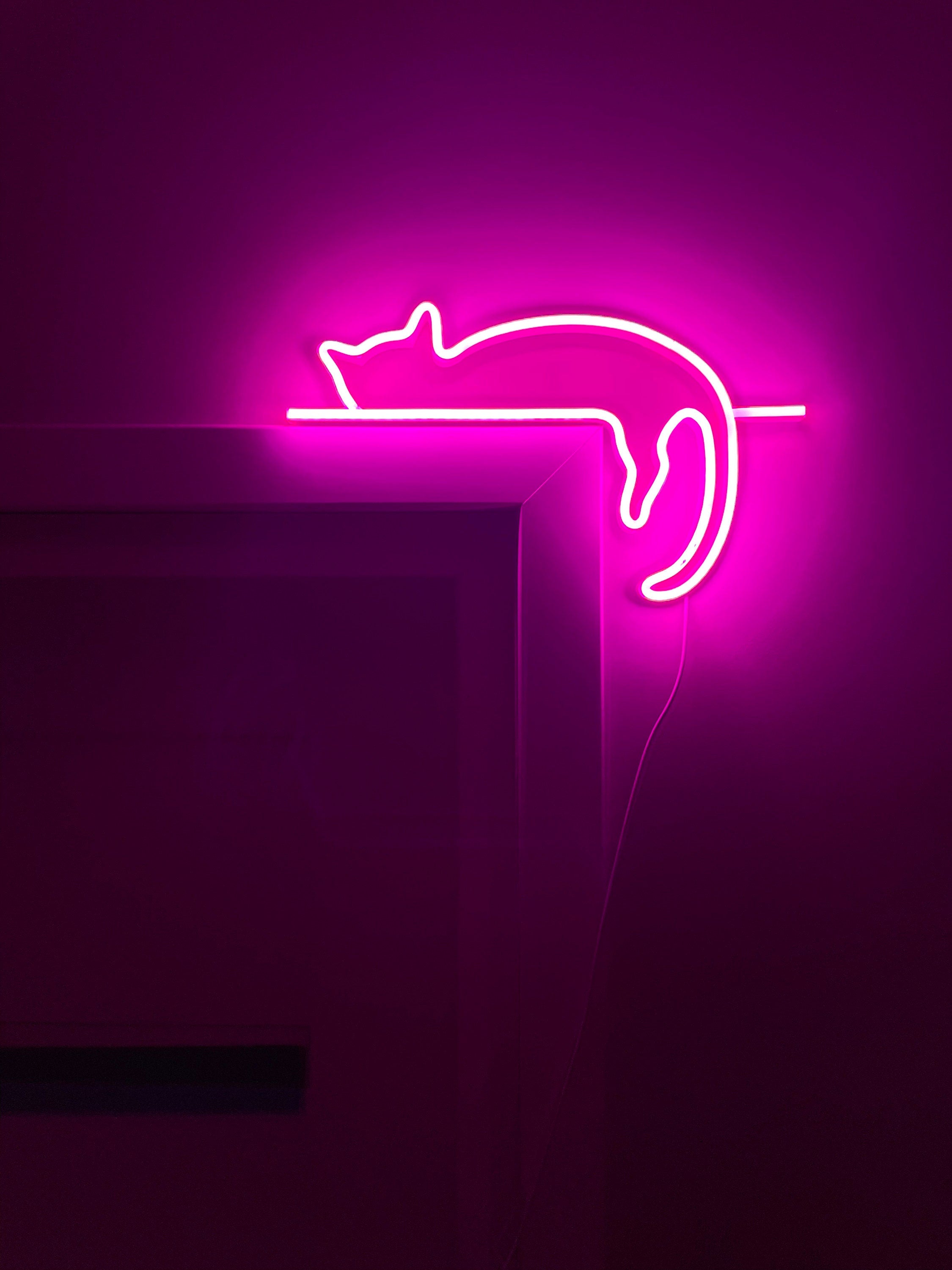 cat neon sign art decor Neon light wall art signs cute cat decor, gift LED Neon Lights, cat Wall custom neon decor Neon Custom Desk light