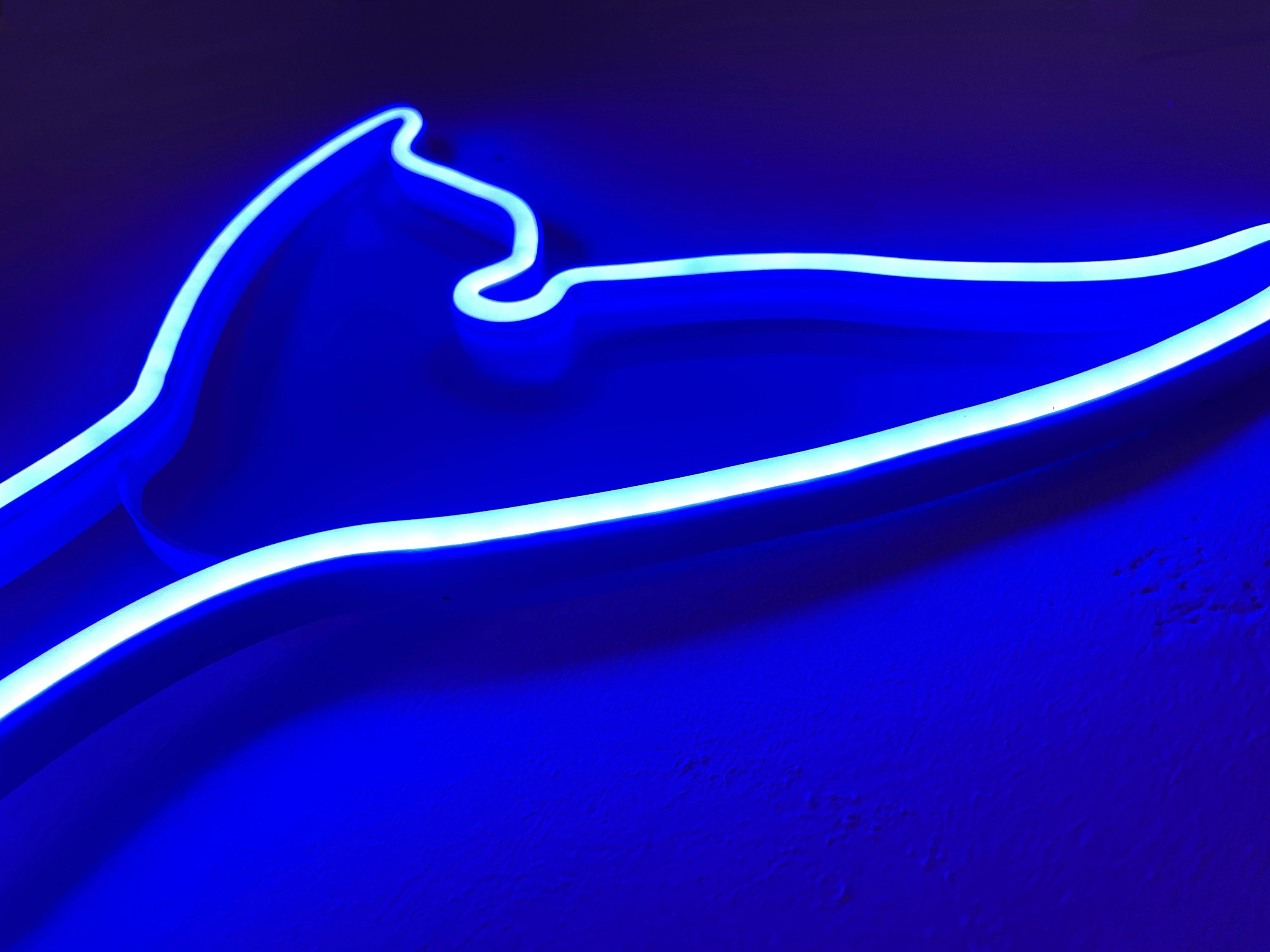 Whale tail neon sign - Neonon