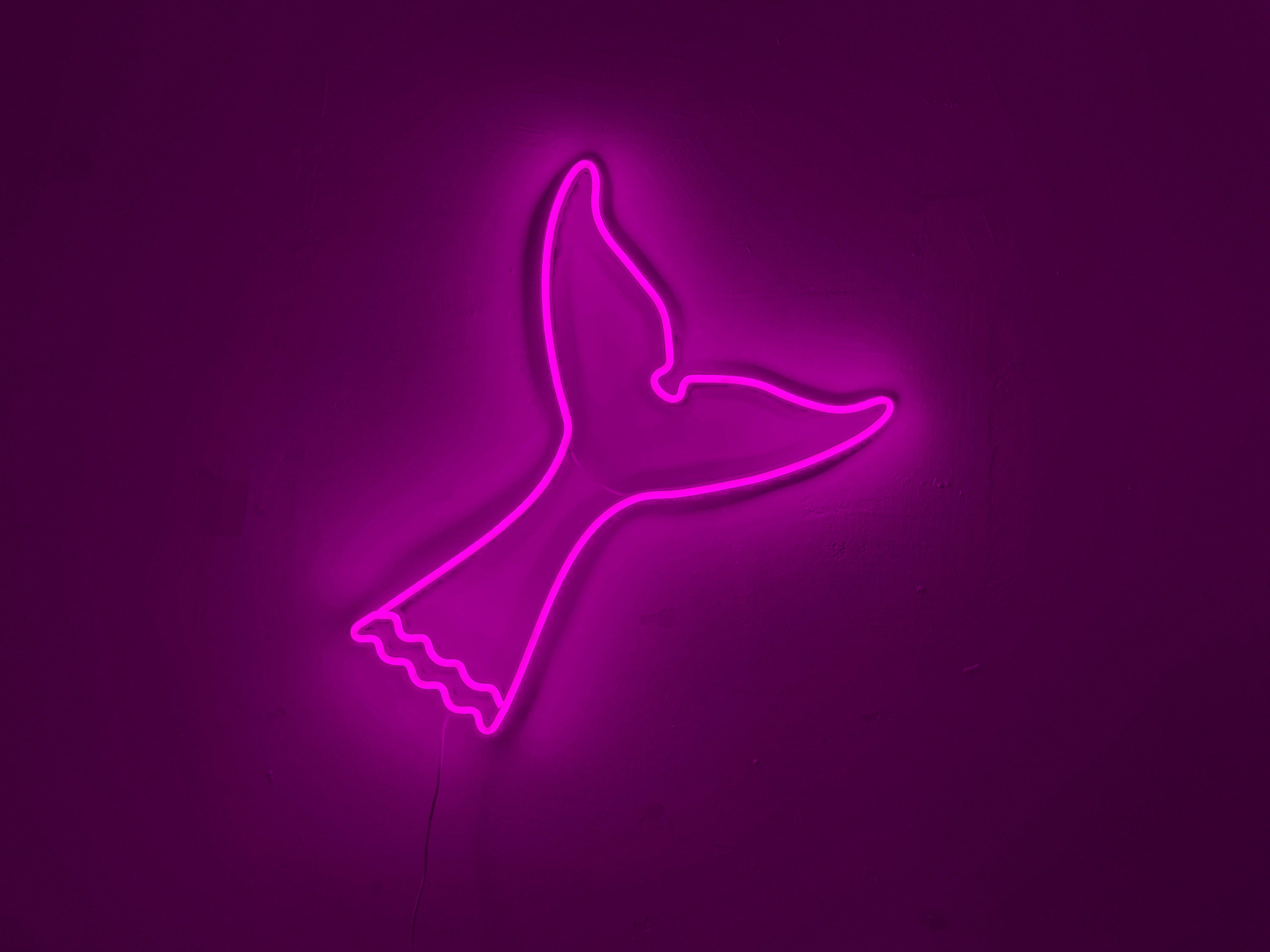 Whale tail neon sign - Neonon