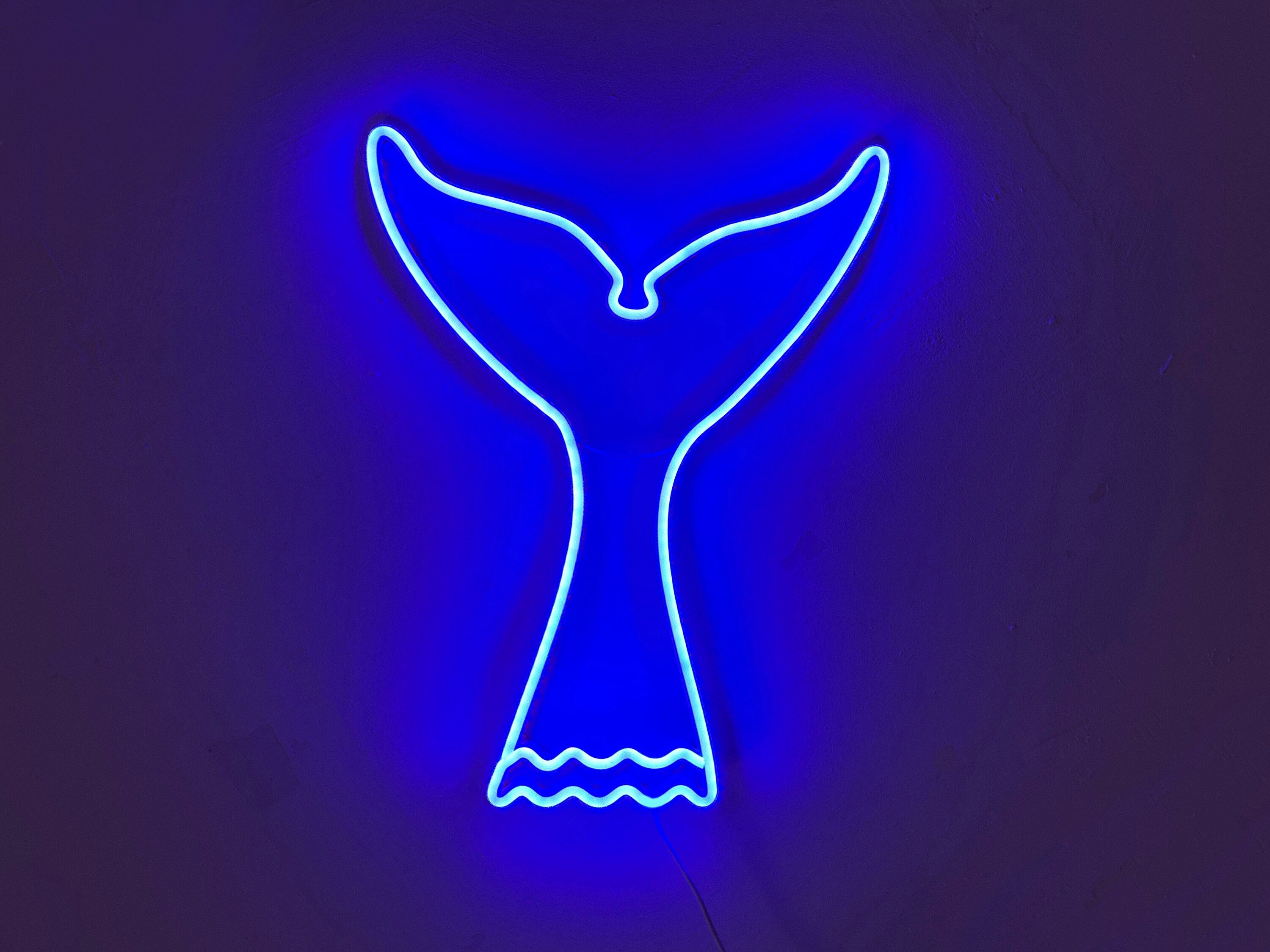 Whale tail neon sign - Neonon
