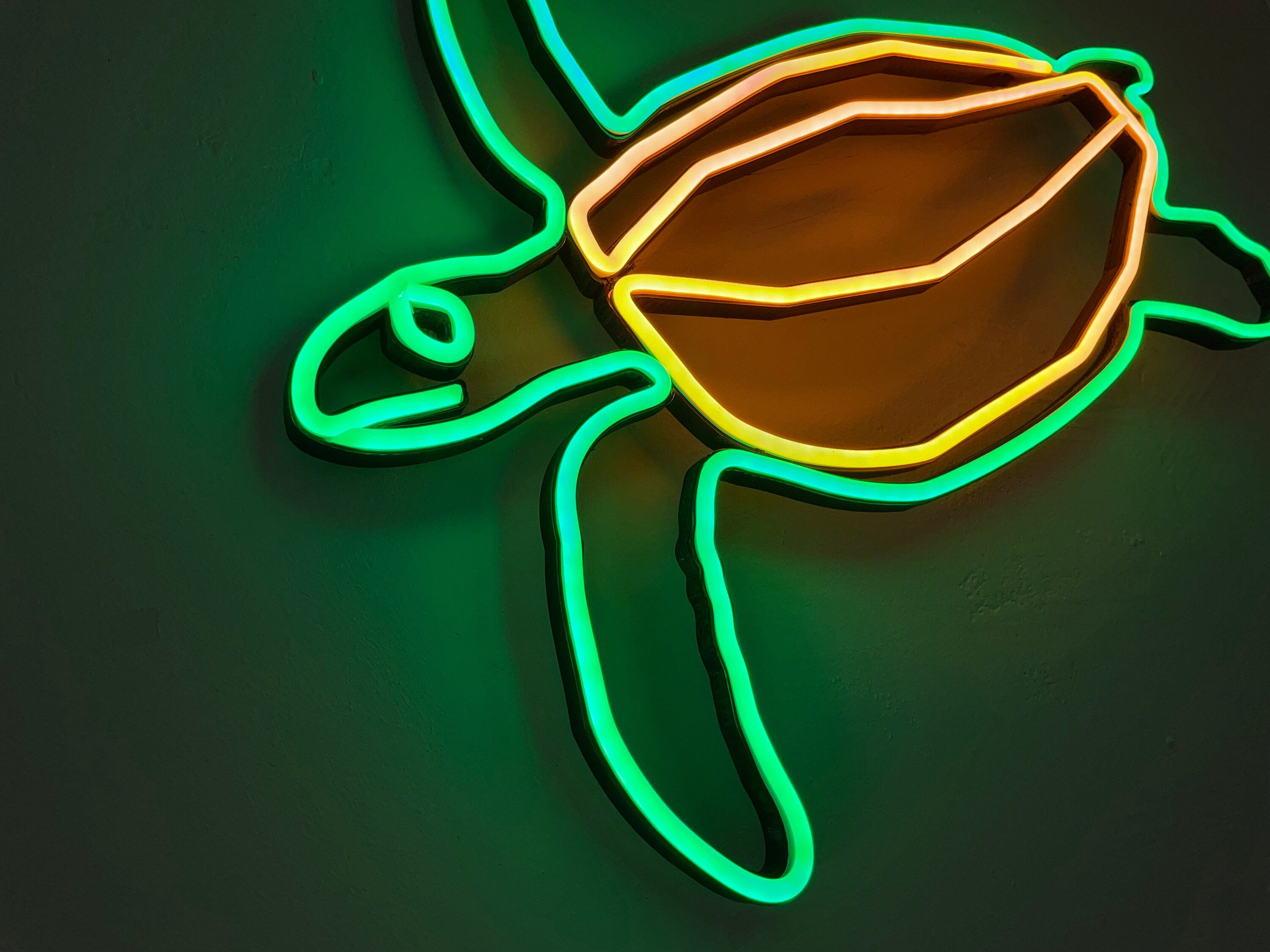 Turtle neon sign - Neonon