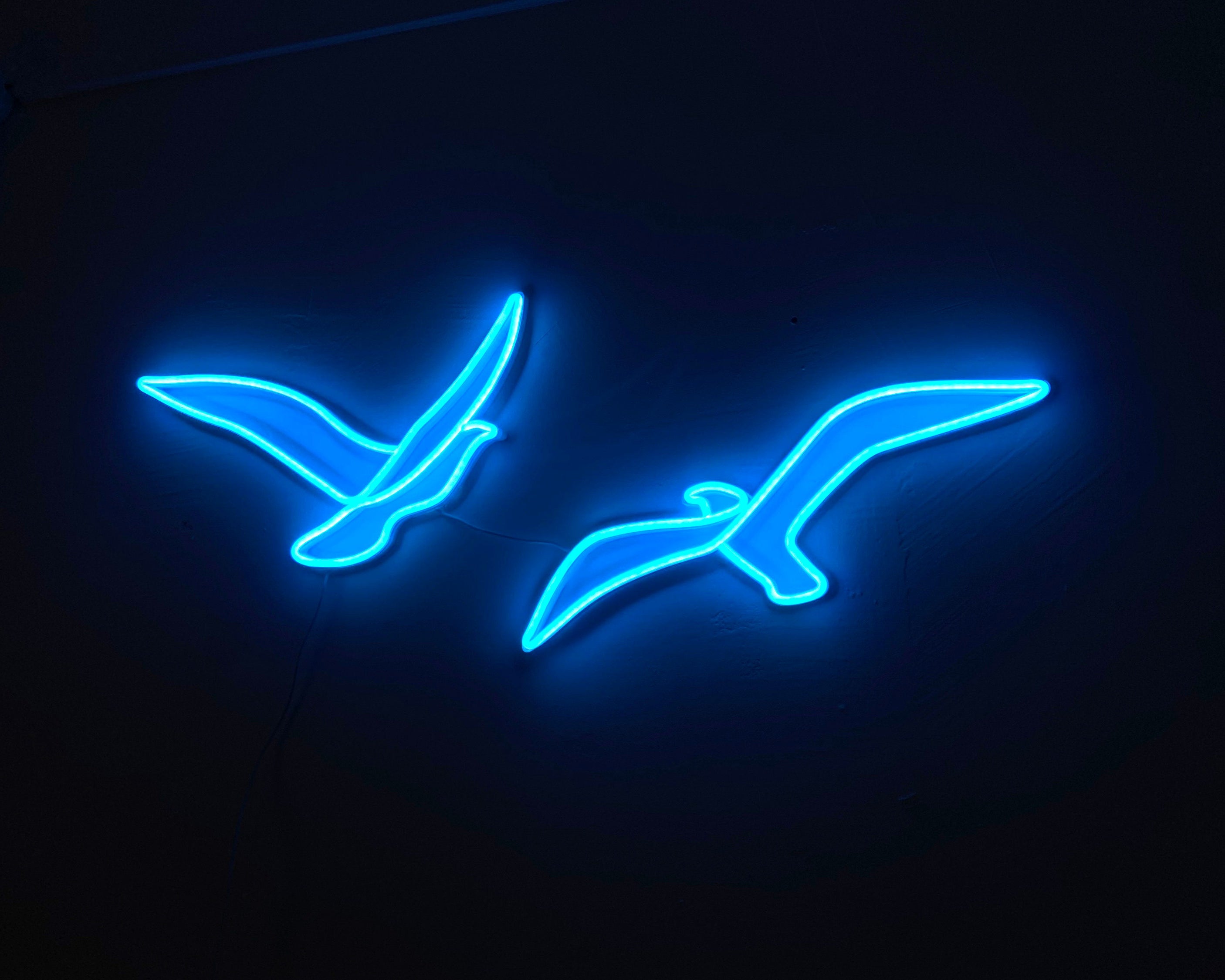 Couple flying bird neon sign - Neonon