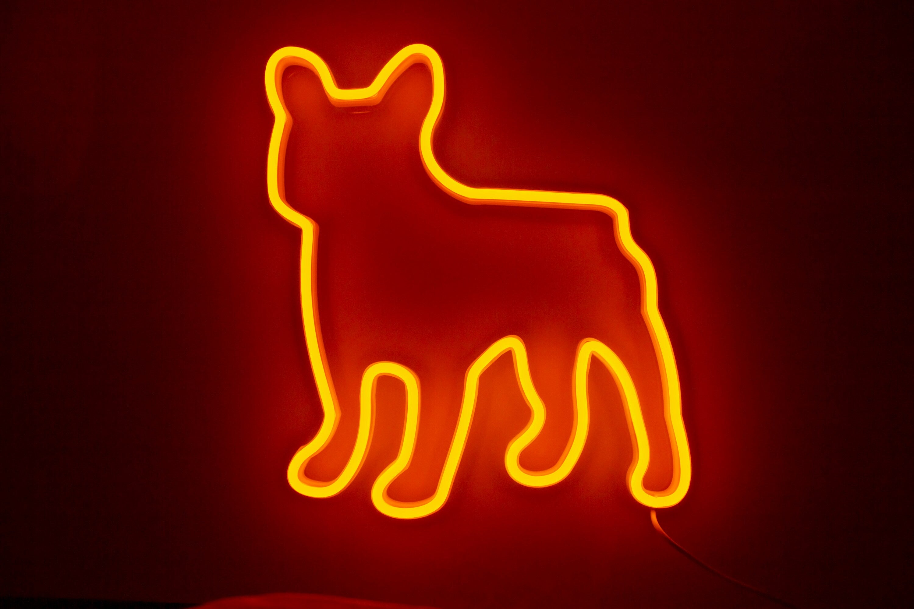 French bulldog neon sign - Neonon