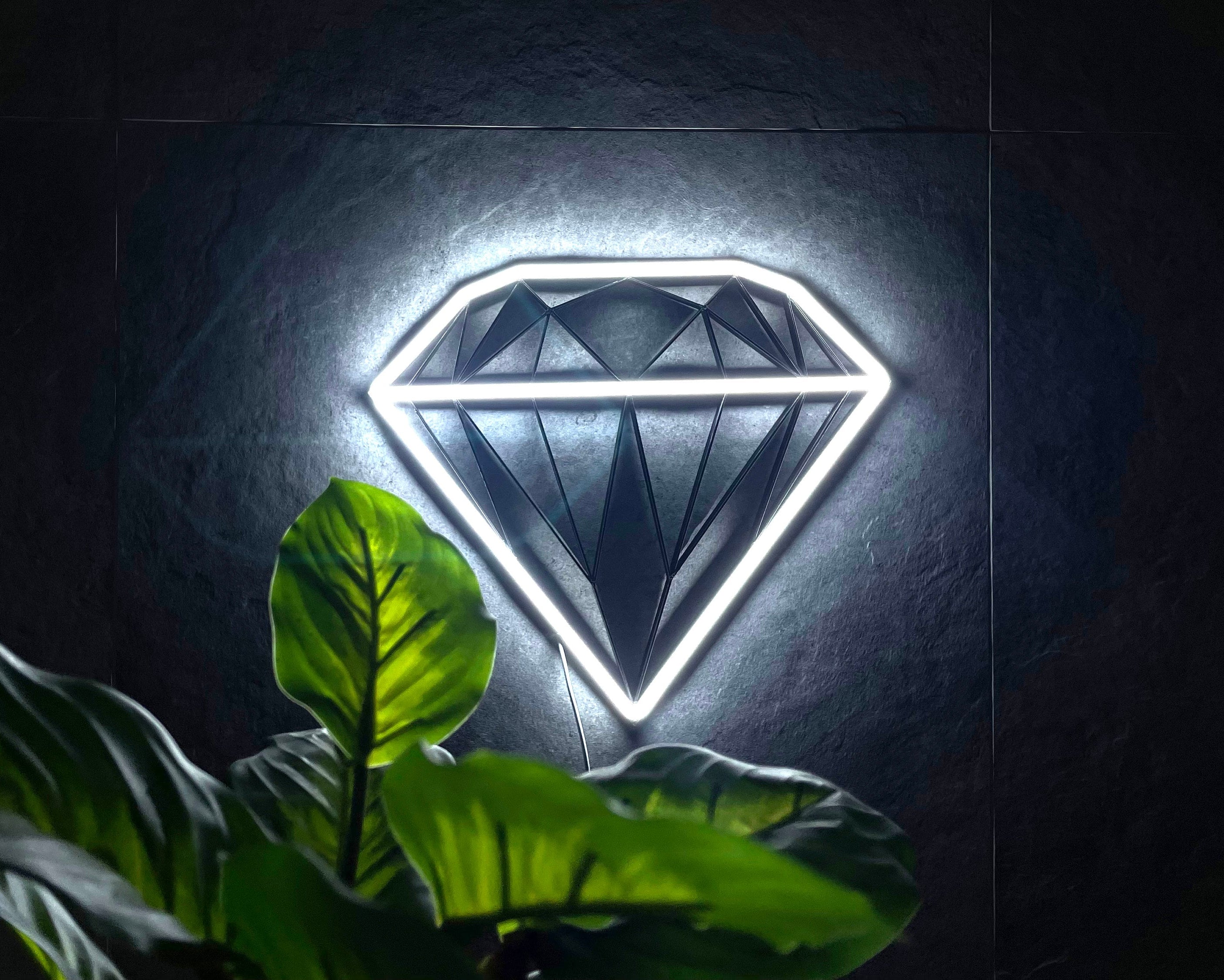 Diamond neon sign - Neonon
