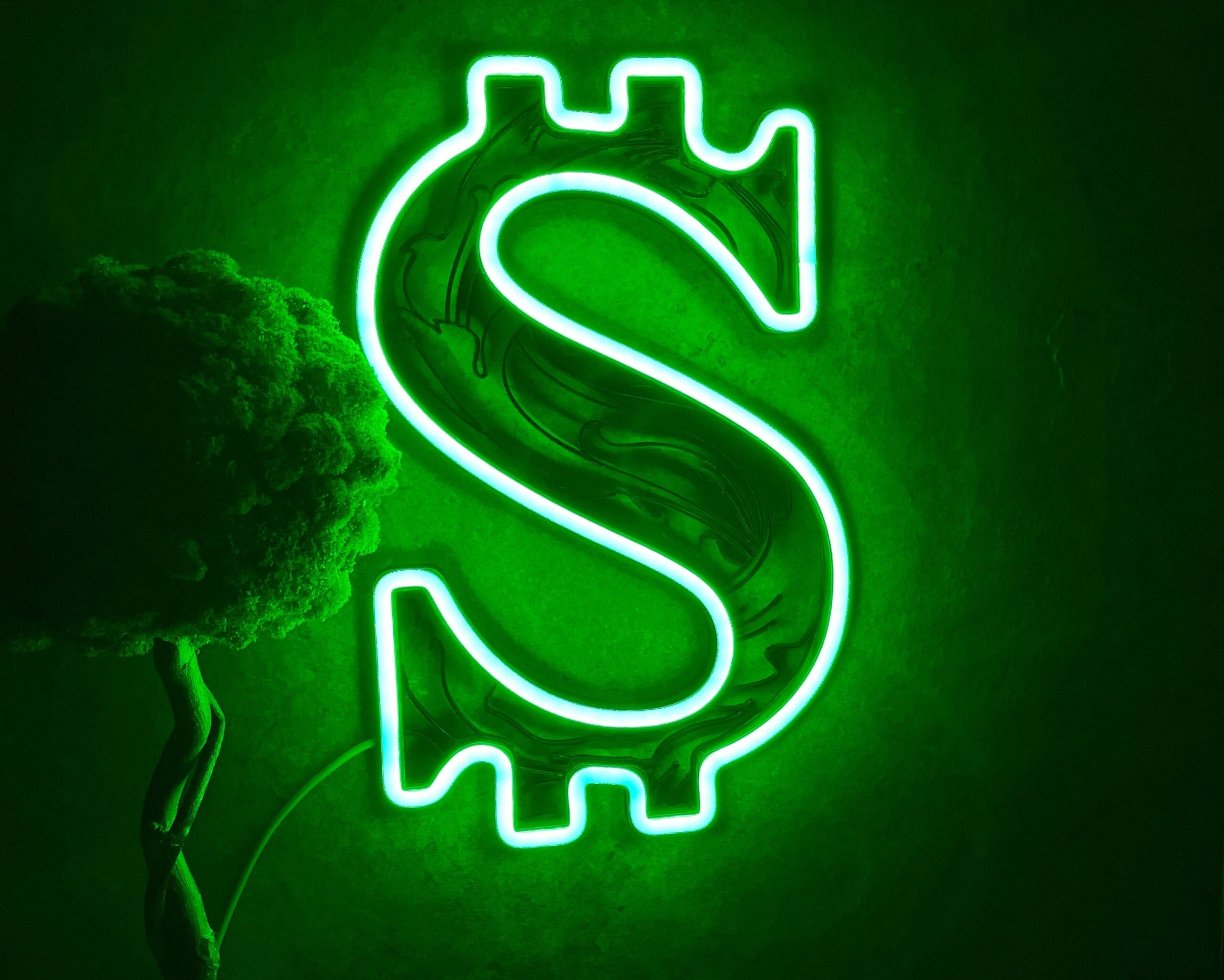Dollar neon sign - Neonon