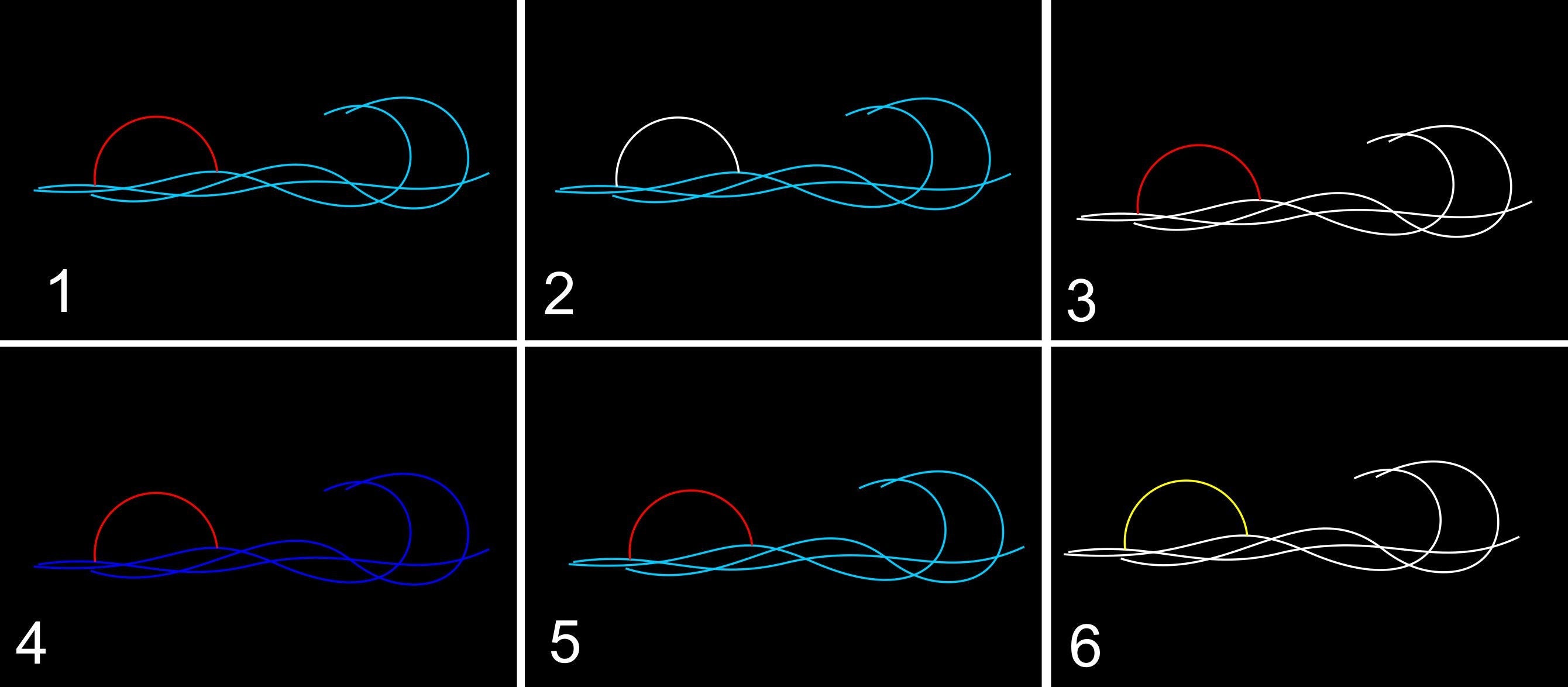 Wave sunset neon sign - Neonon