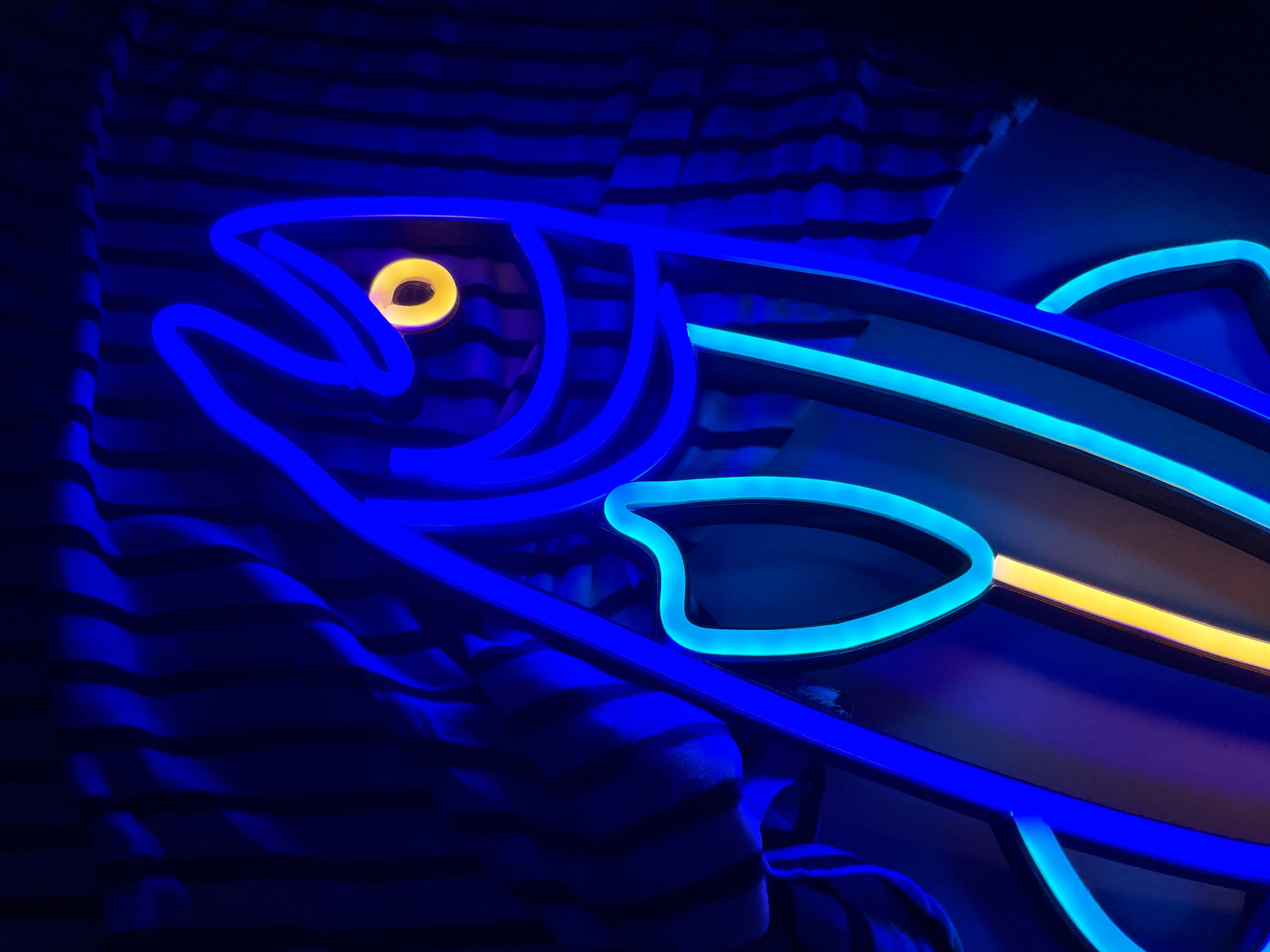 Salmon fish neon sign - Neonon