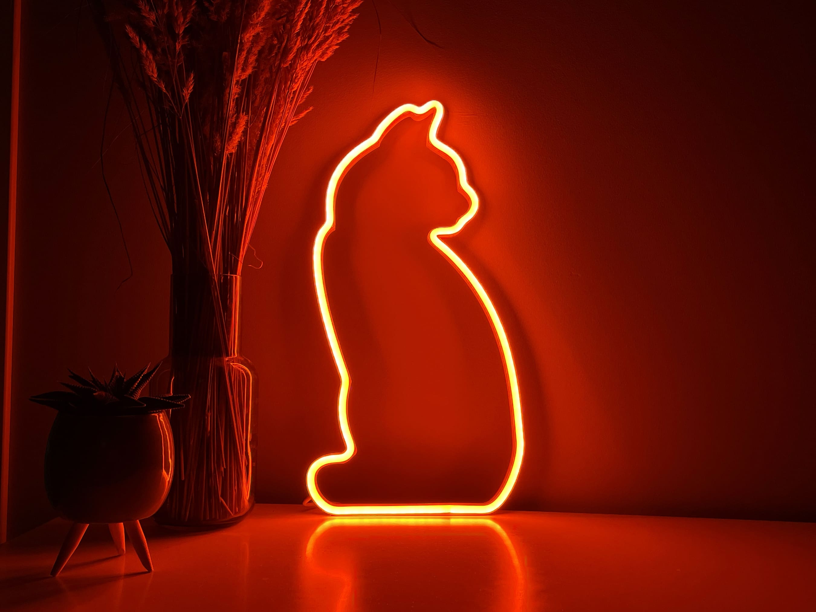 Cat Neon neon sign - Neonon