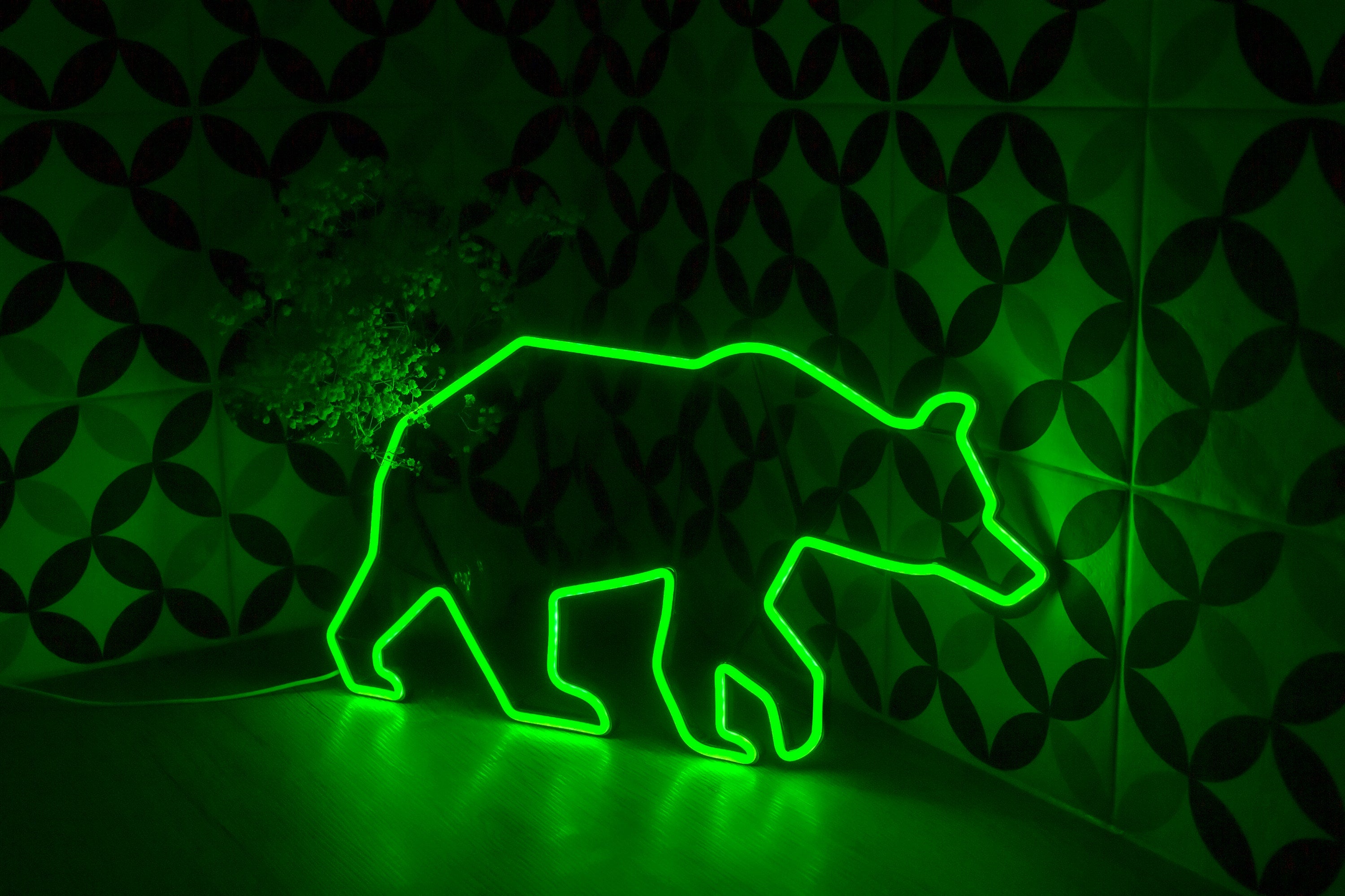 grizzly bear Neon Sign, bear wall art, Art Sign Led Logo, beer Wall Decor, Custom Neon Sign Party Room Decoration, bear gift