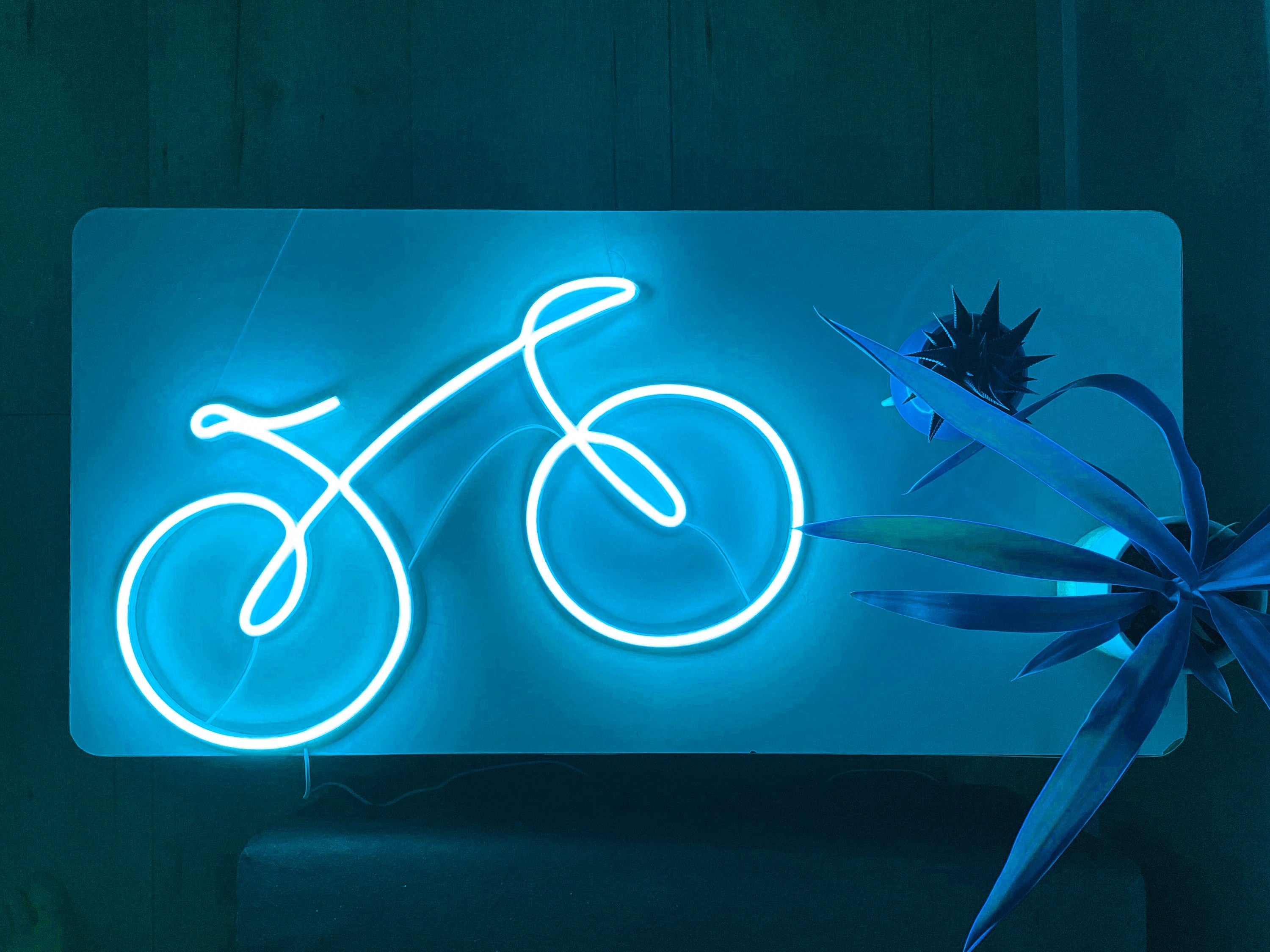 bike bicycle wall art, bike bicycle neon sign, bicycle wall decor, bike art, bicycle art, bicycle neon wall decor, bicycle gift, bike led