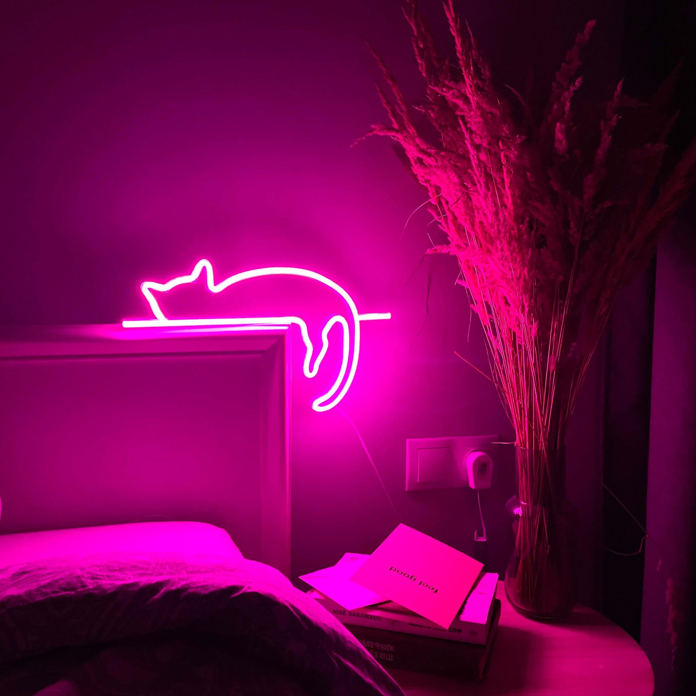cat decor neon sign