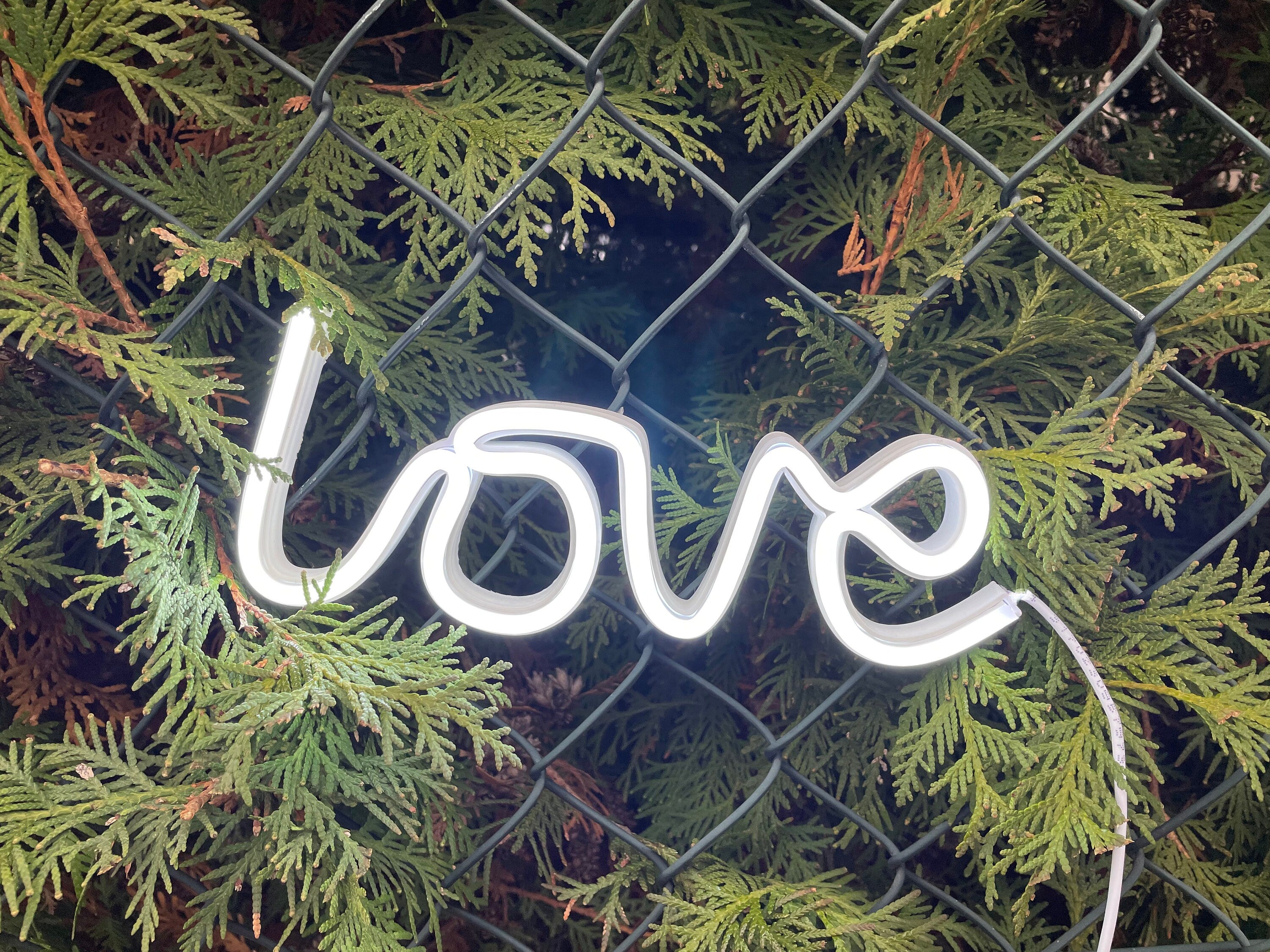 Love neon sign - Neonon