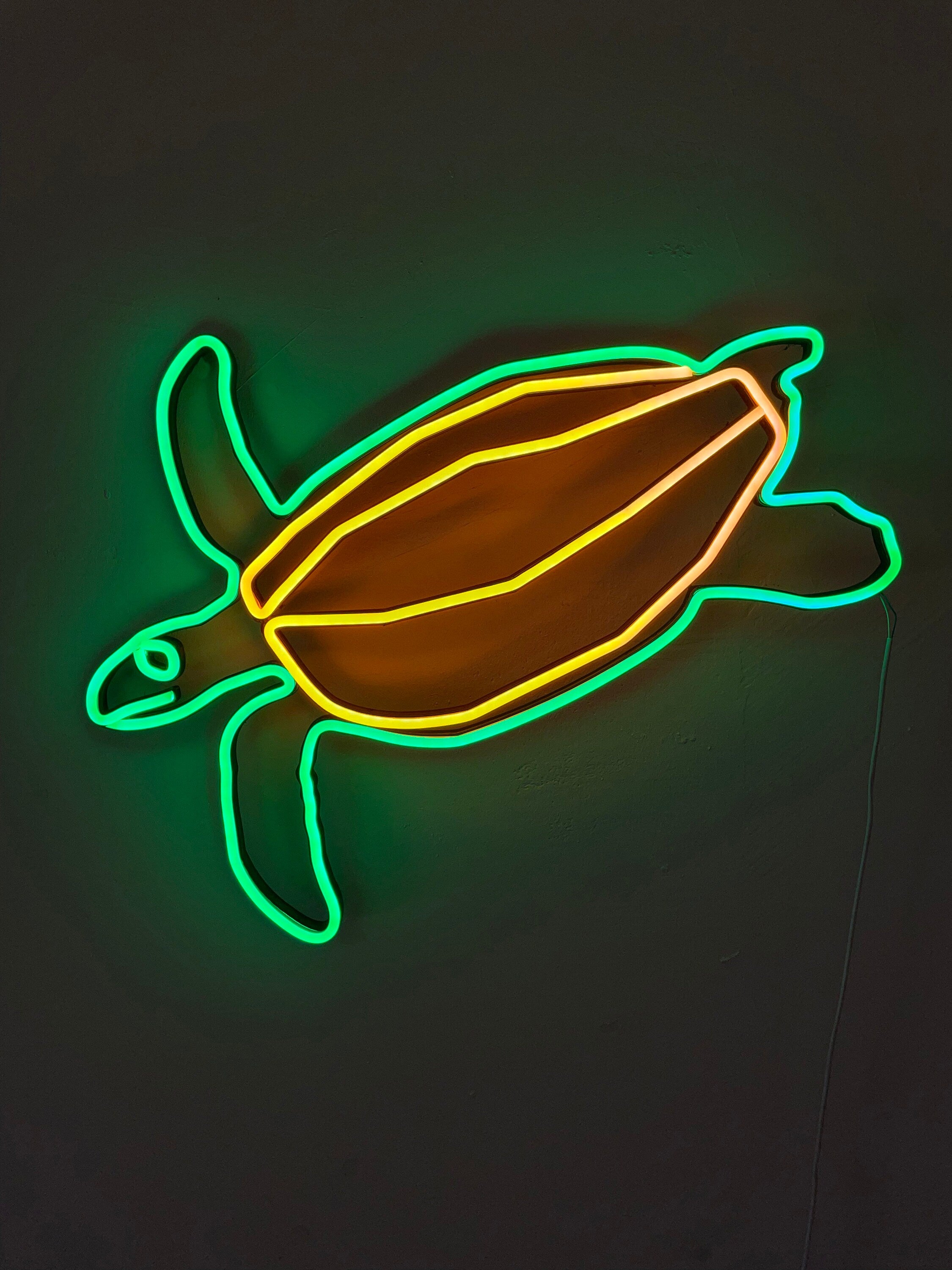 Turtle neon sign - Neonon