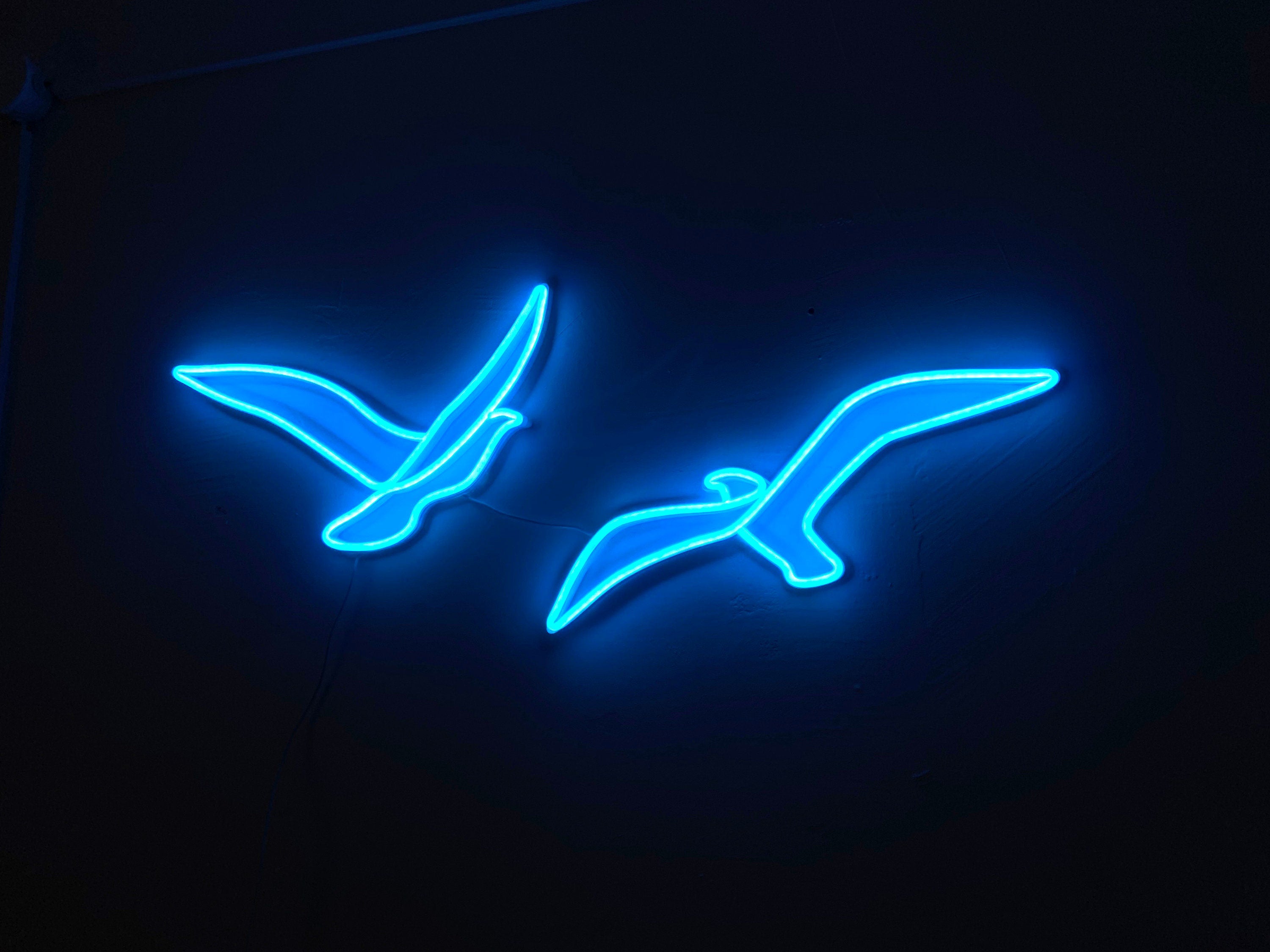 Couple flying bird neon sign - Neonon