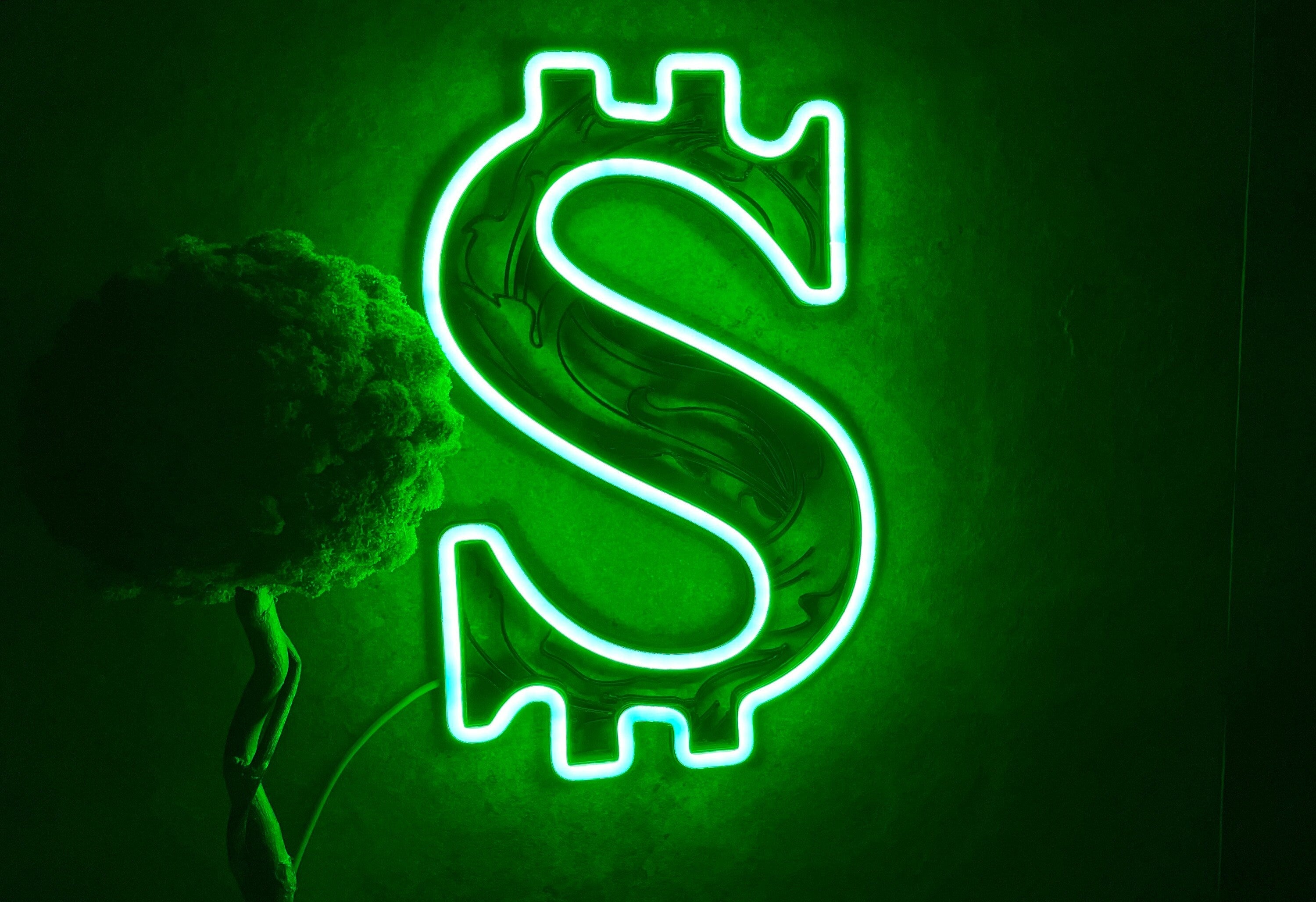 Dollar neon sign - Neonon