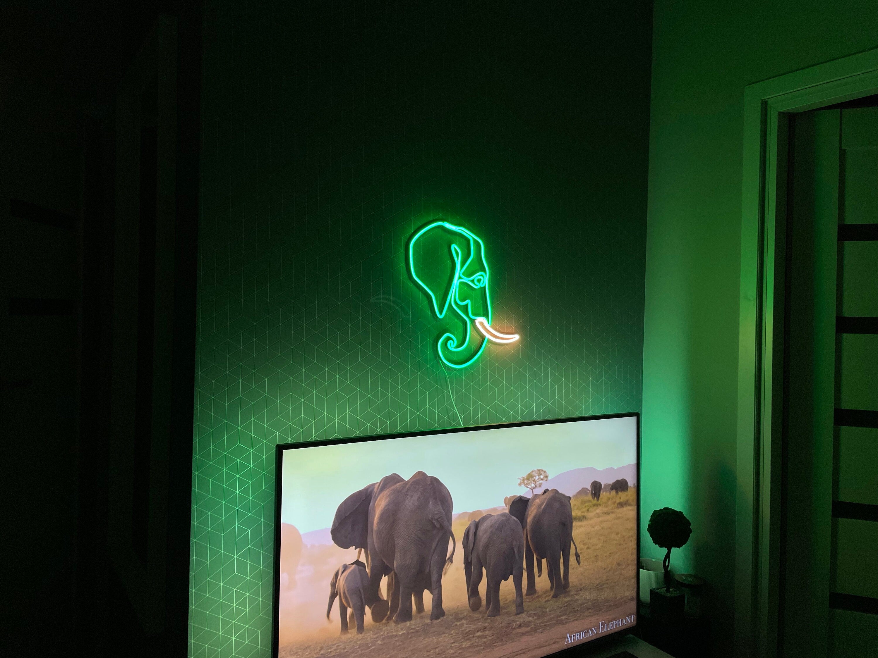 Elephant neon sign - Neonon