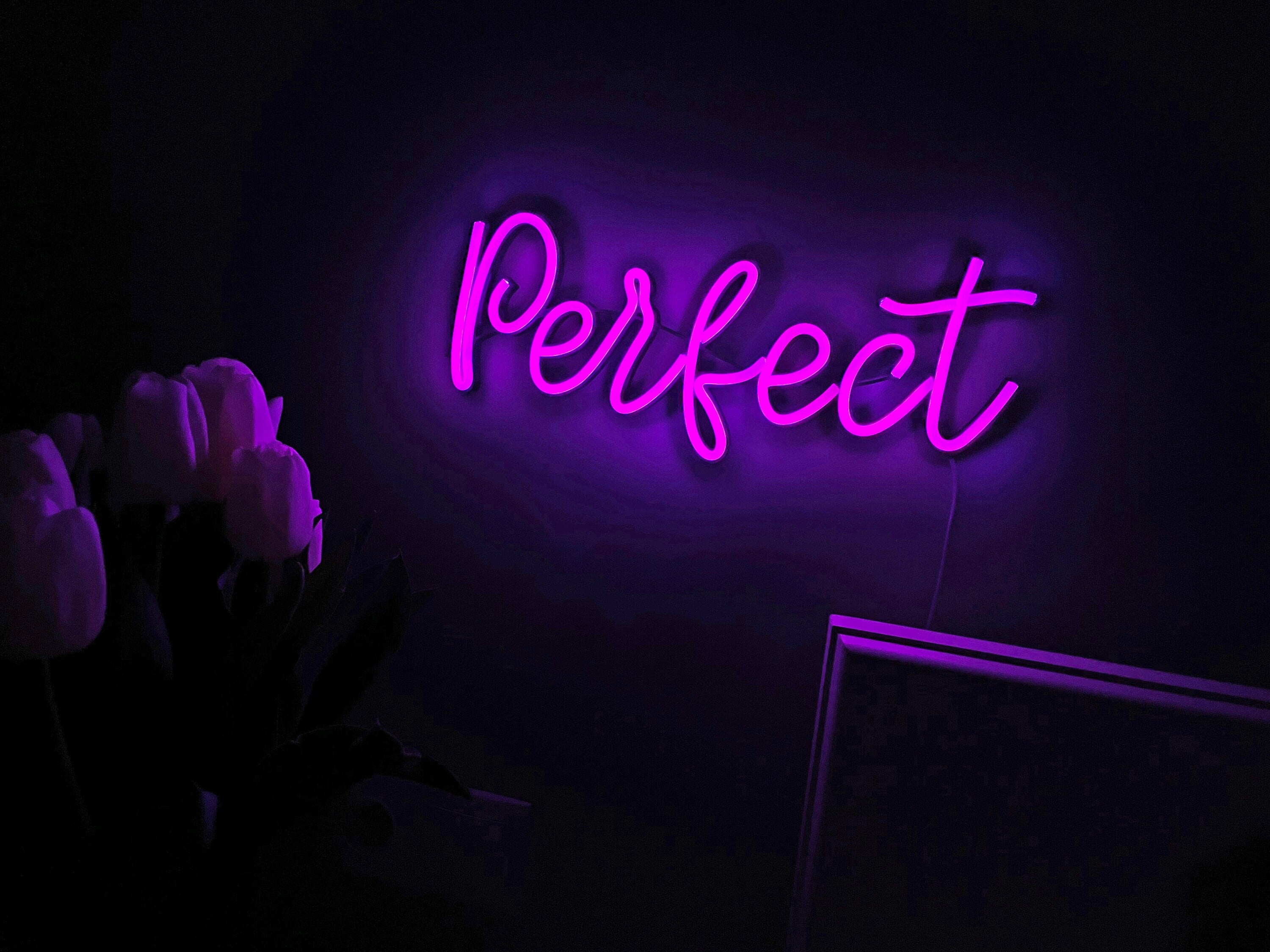 Perfect neon sign - Neonon