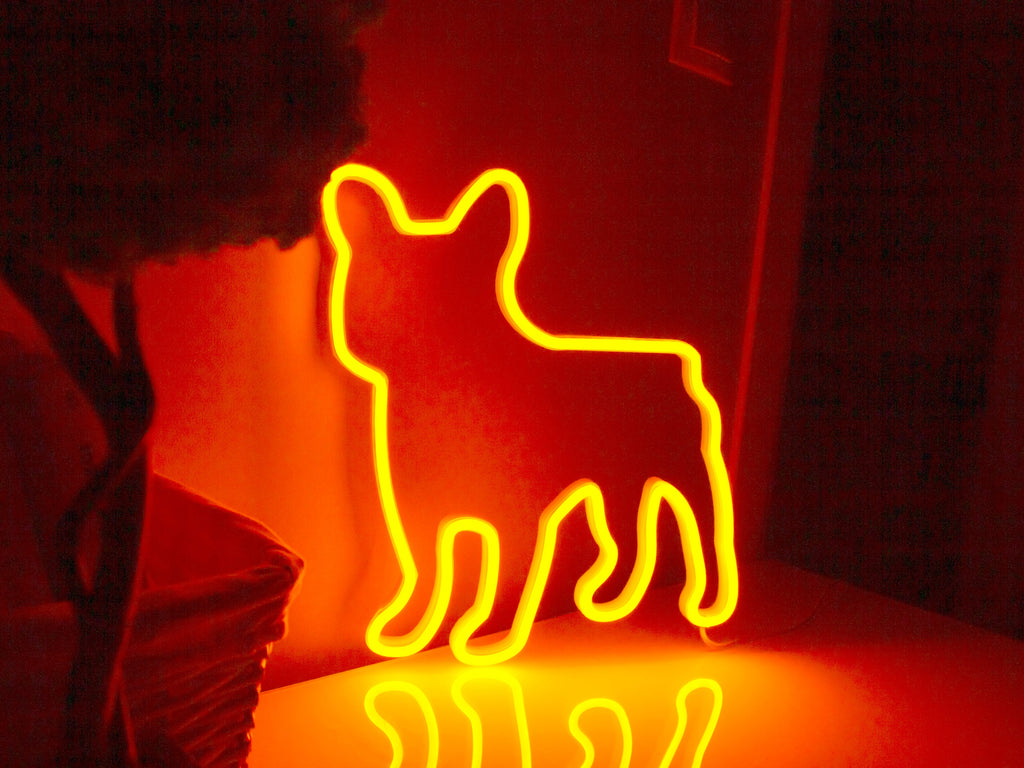 French bulldog neon sign - Neonon